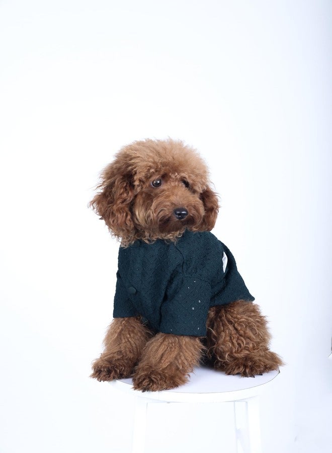 15 Buttons Dog Peacock Blue Sequence Work Sherwani | Pure Cotton Fabric | Wedding Dress for Pets | Comfortable Ethnic Summer Outfit Choice | for All Occasions | for French Bulldog (XL) - Image 3